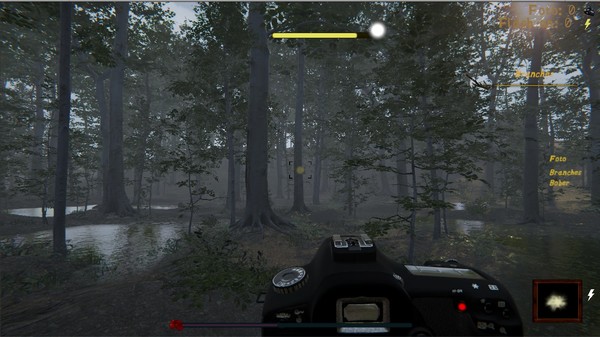 Скриншот из Naturalist Stories