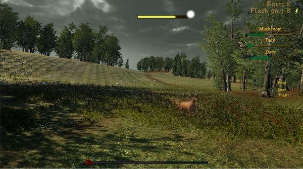 Скриншот из Naturalist Stories