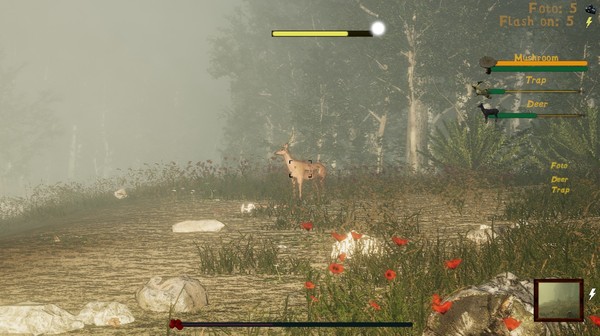 Скриншот из Naturalist Stories