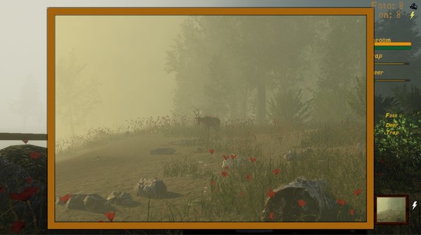 Скриншот из Naturalist Stories