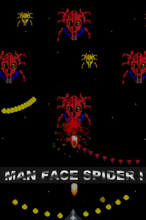 Man Face Spider I