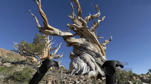 Скриншот из Blueplanet VR