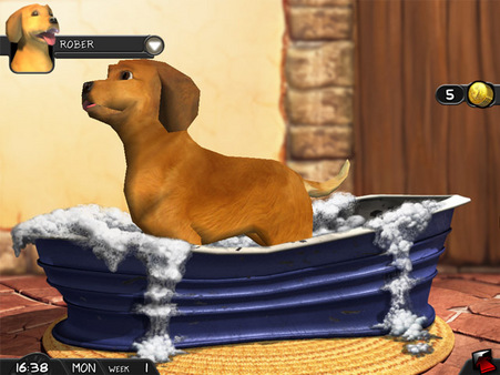 Fetch It Againfor windows and Linux 1