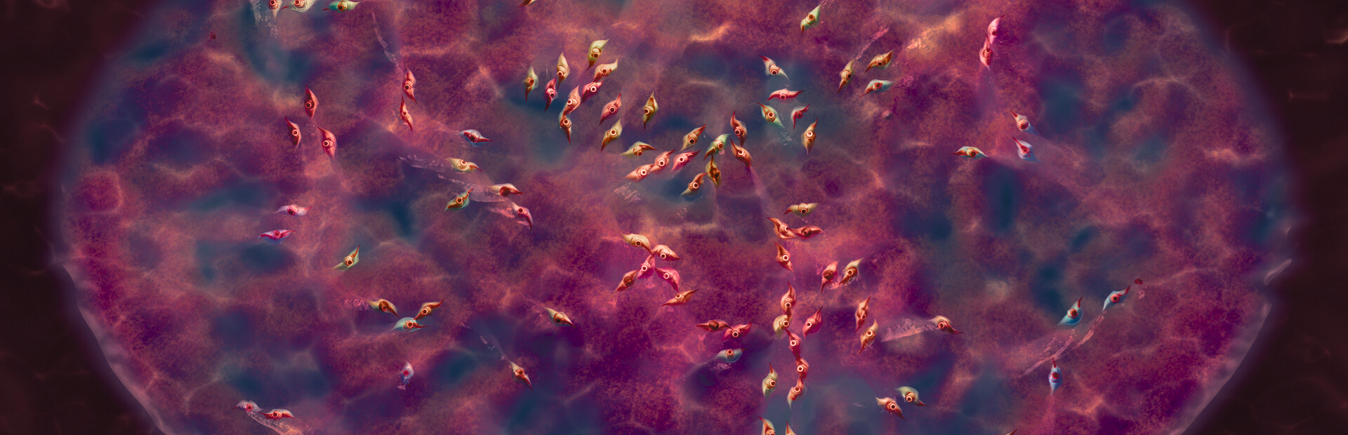 Super Swarmer Survivors