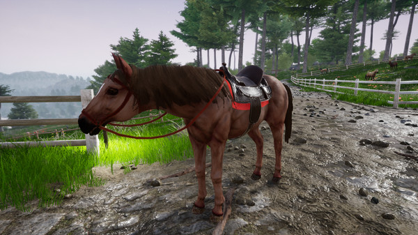 Скриншот из Horse Riding Deluxe 2