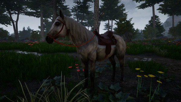 Скриншот из Horse Riding Deluxe 2