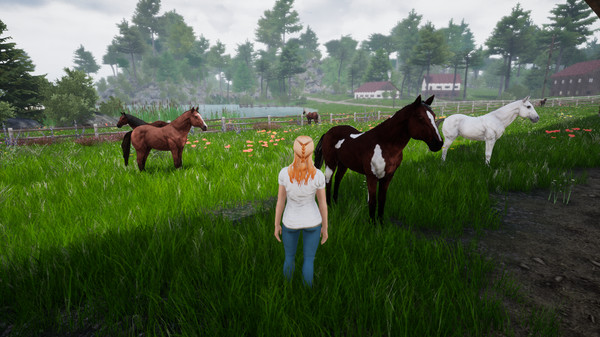 Скриншот из Horse Riding Deluxe 2