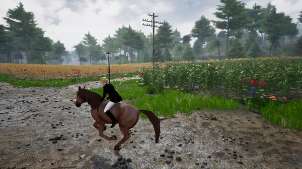 Скриншот из Horse Riding Deluxe 2