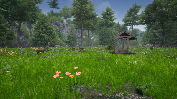 Скриншот из Horse Riding Deluxe 2