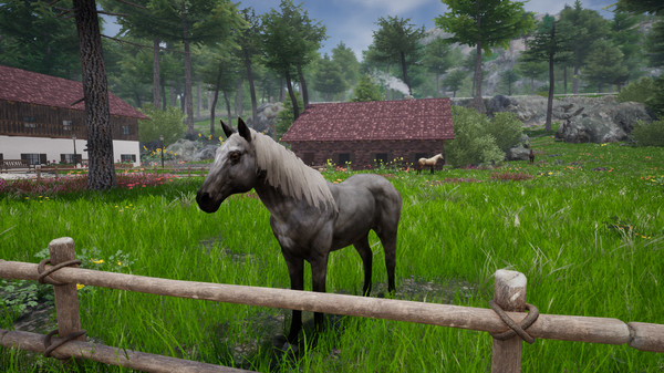 Скриншот из Horse Riding Deluxe 2