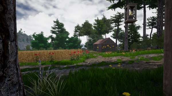 Скриншот из Horse Riding Deluxe 2