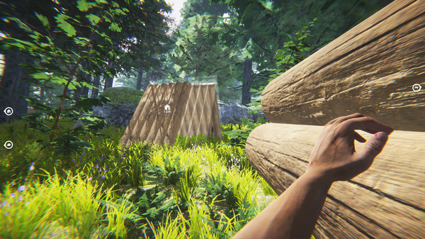 Скриншот из The Jungle