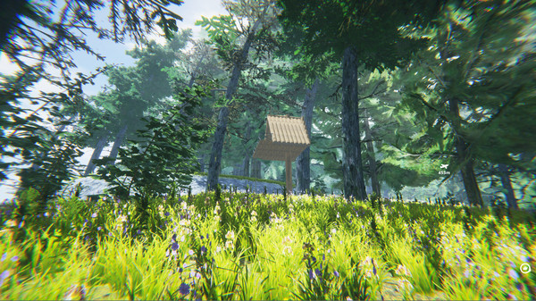 Скриншот из The Jungle