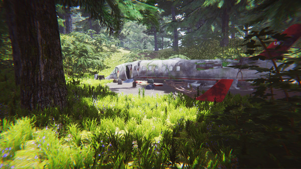 Скриншот из The Jungle