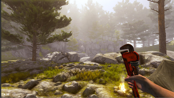 Скриншот из The Jungle