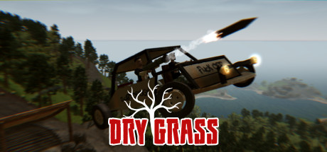 Dry Grass cover art