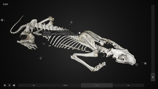 Inside Explorer game for Linux 1