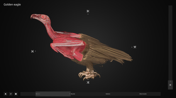 Inside Explorerfor windows and Linux 1