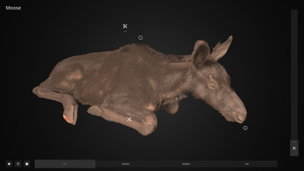 Inside Explorer game for windows Pc 1