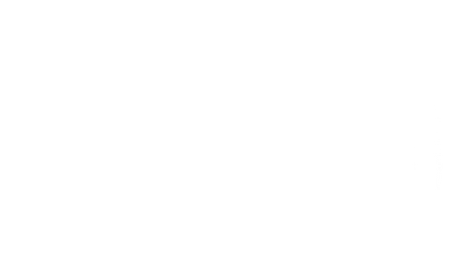 Faefever Logo