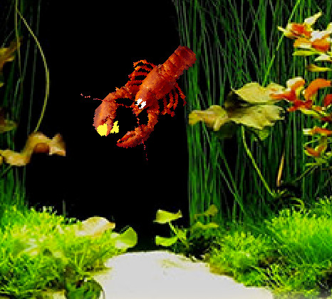 Aquarium Widget For Mac Aquarium Widget For Mac