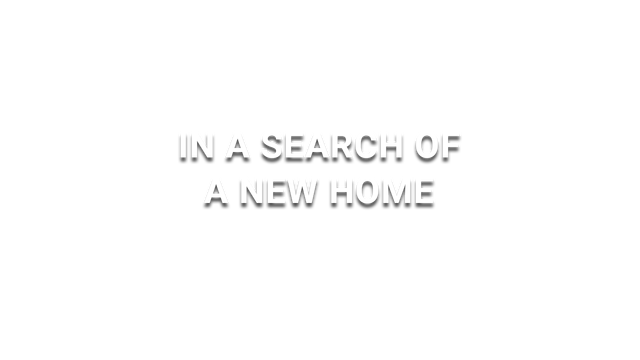 In a search of a new home Logo