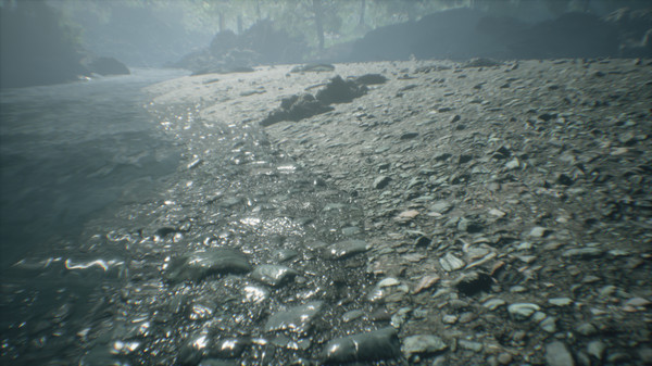 Скриншот из Wakamarina Valley, New Zealand