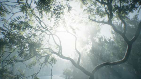 Скриншот из Wakamarina Valley, New Zealand