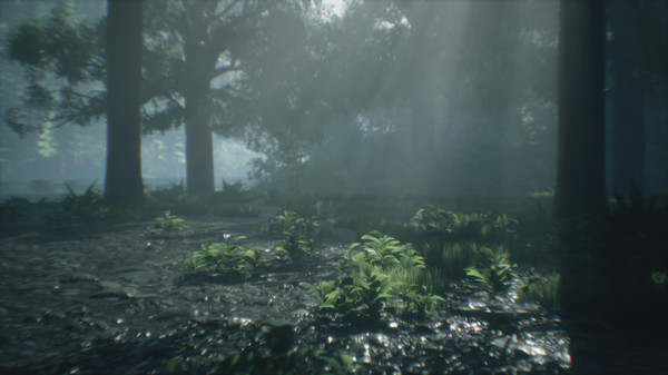 Скриншот из Wakamarina Valley, New Zealand