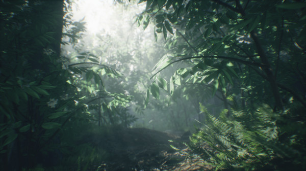 Скриншот из Wakamarina Valley, New Zealand