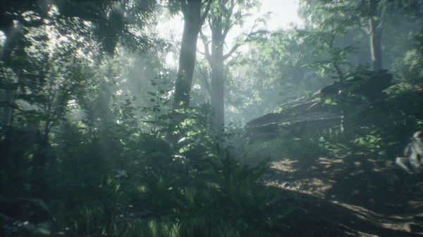 Скриншот из Wakamarina Valley, New Zealand