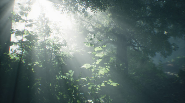 Скриншот из Wakamarina Valley, New Zealand