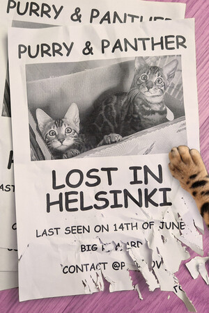 Purry & Panther: Lost in Helsinki Steam Gift AM - Kupikod