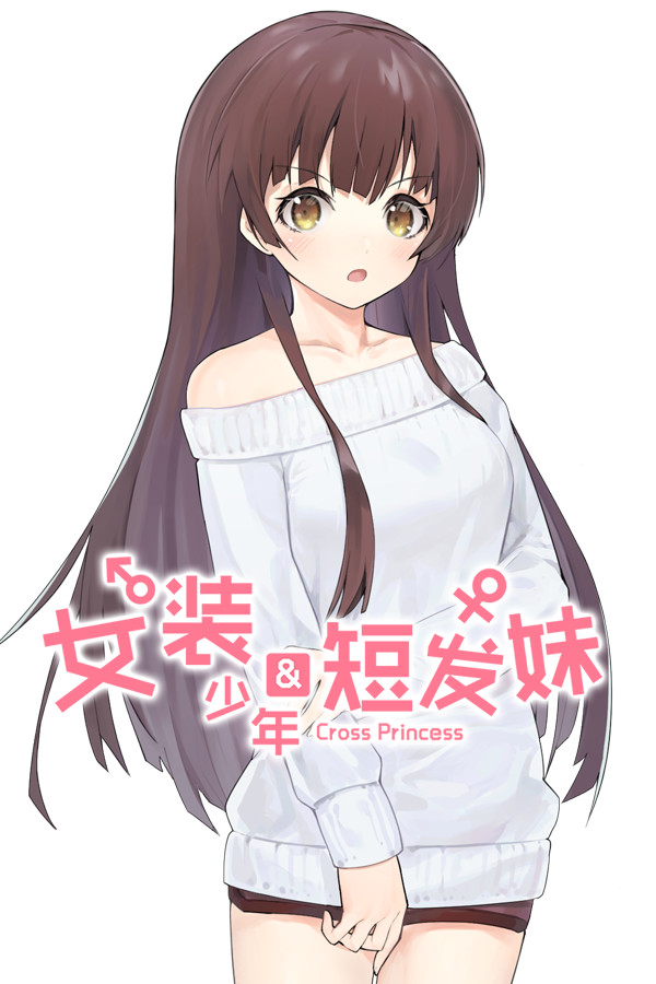 Steam portrait for Cross Princess.