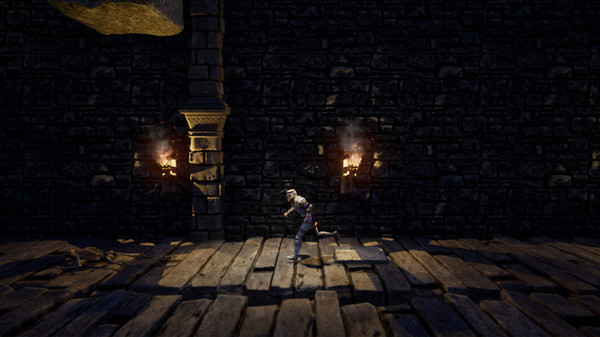 Скриншот из Knight's Destiny