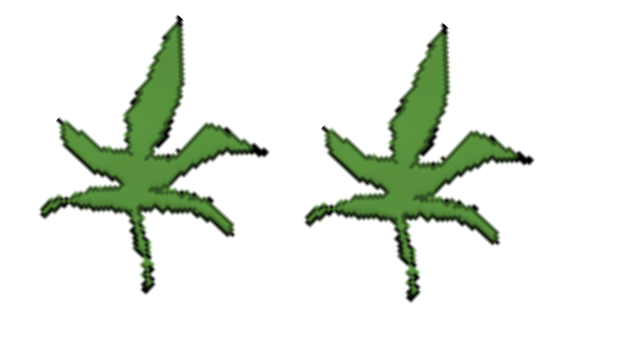 SkunkHunter 101 Logo