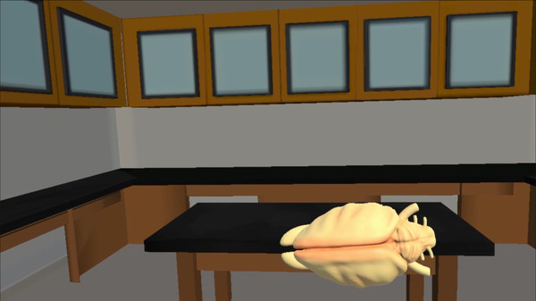 Скриншот из Training Lab Скриншот из Training Lab