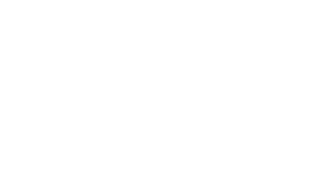 Boston AInamics Logo