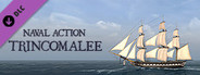 Naval Action - Trincomalee