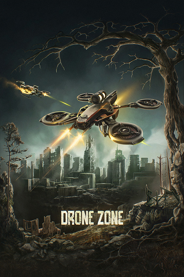 Steam portrait for Drone Zone.