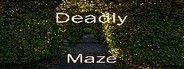 Deadly Maze