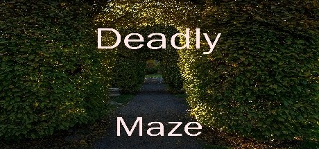 Deadly Maze cover art