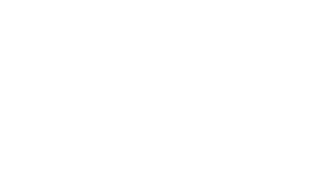 Fox Spirit: A Two-Tailed Adventure Logo