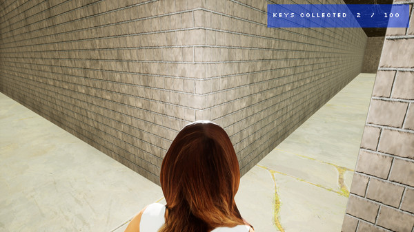 The Mazefor windows and Linux 1