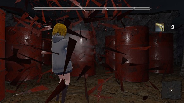 Poco Infor windows and Linux 1