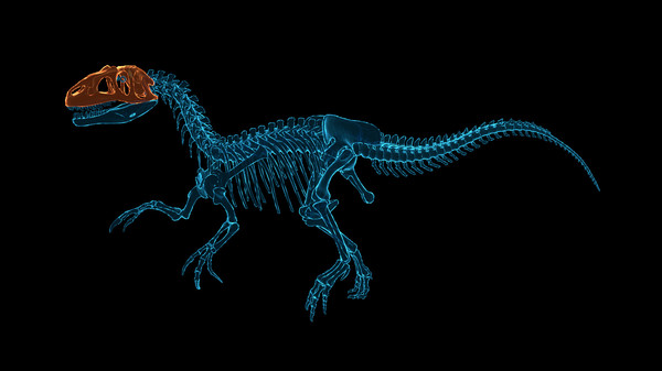 Скриншот из Dinosaur Fossil Hunter: Prologue