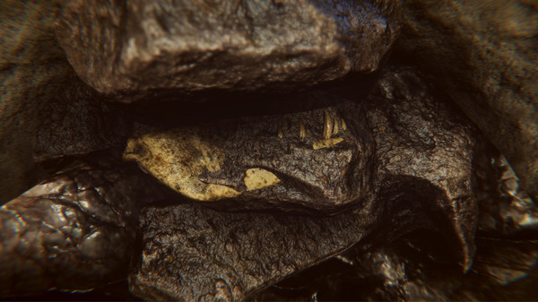 dinosaur fossil hunter ps4