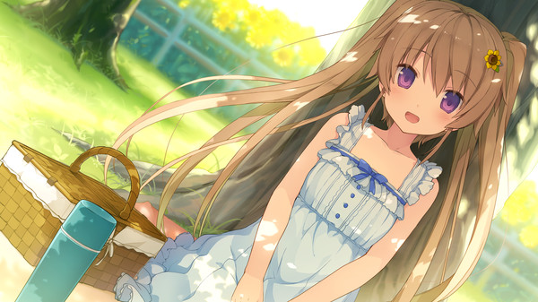 Aokana - EXTRA1for windows and Linux 1