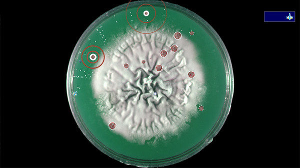 Скриншот из Coronavirus - Nano Force Скриншот из Coronavirus - Nano Force