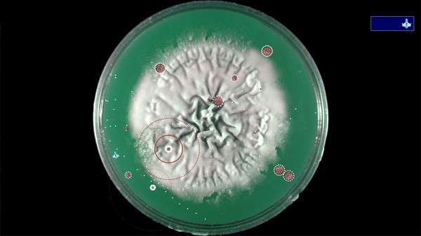 Скриншот из Coronavirus - Nano Force Скриншот из Coronavirus - Nano Force